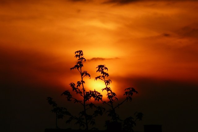 sunset-114558_1280.jpg