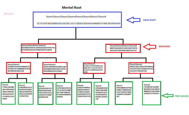 merkel tree steem.png