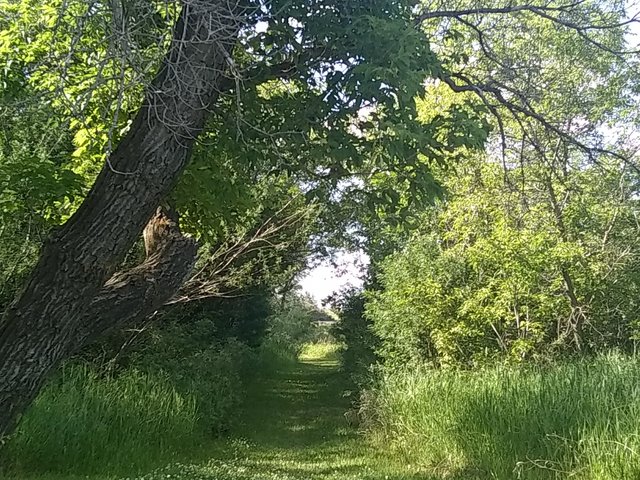 Moose Jaw River Park k.jpg