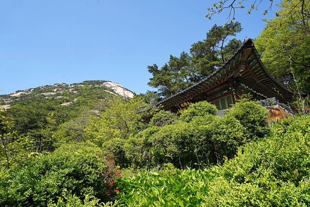 DSC08796.JPG