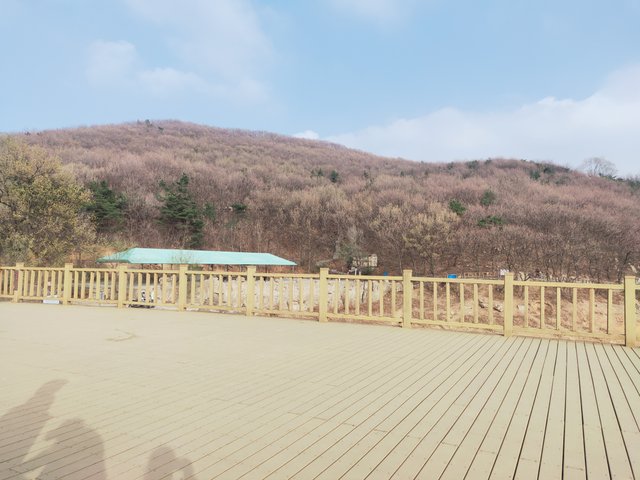 IMG20250419163853.jpg