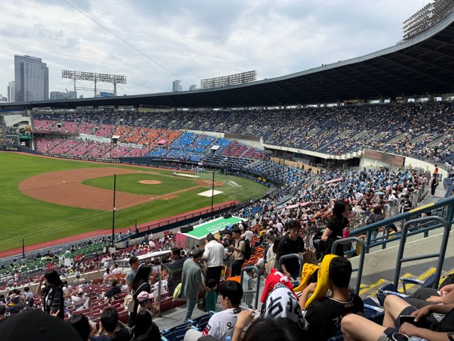 IMG_1559.jpeg