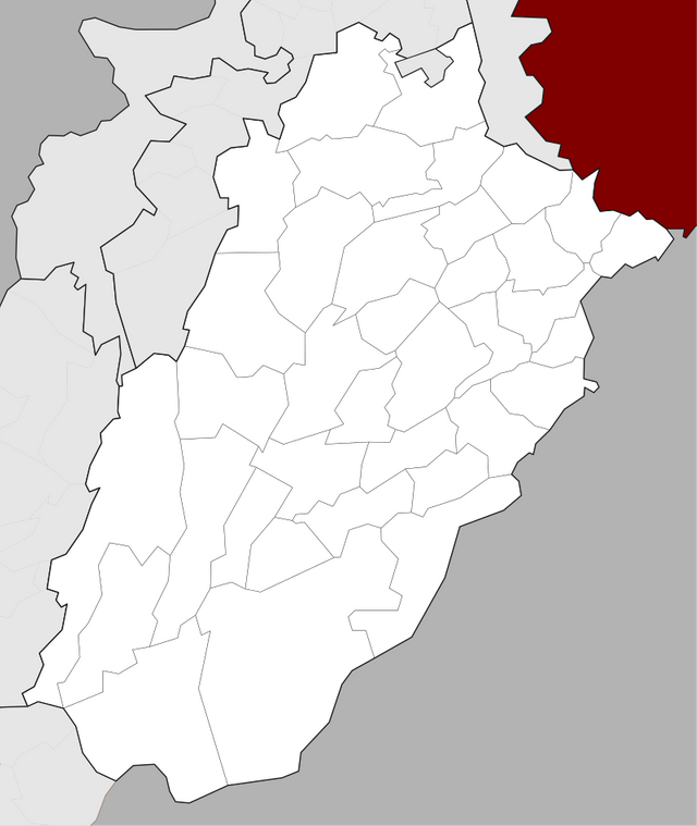 800px-Locator_map_Punjab_Pakistan.svg.png