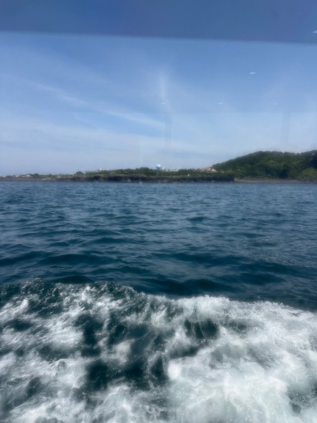 IMG_6063.jpeg