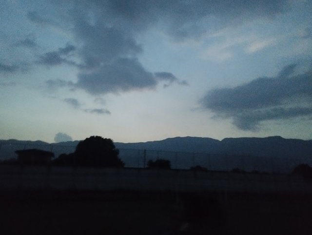 IMG_20250411_190731.jpg