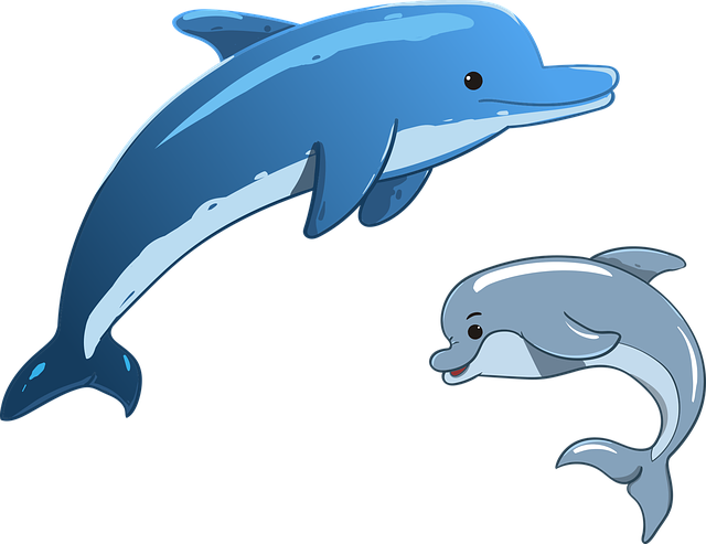 dolphin-3321762_640.png