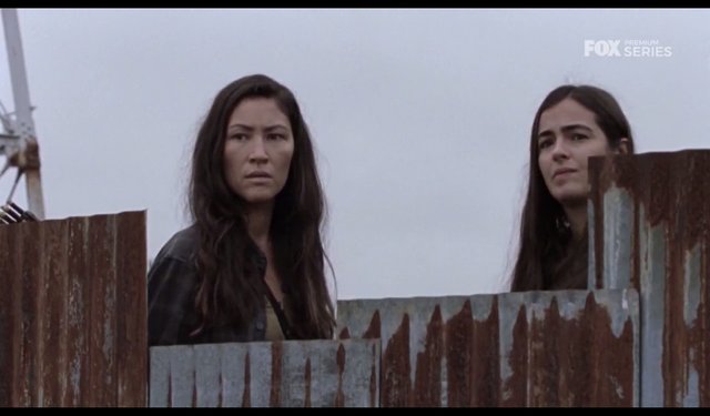 twd5.jpg