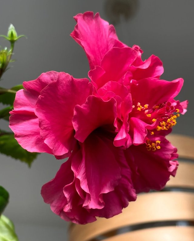 IMG_20250925_114912.jpg