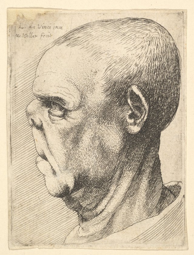 Grotesque old man with flattened nose in profile to left.jpg