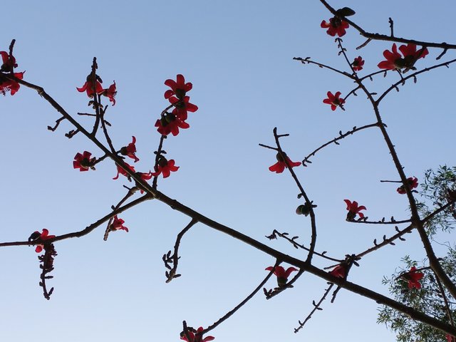 20230228_084528.jpg