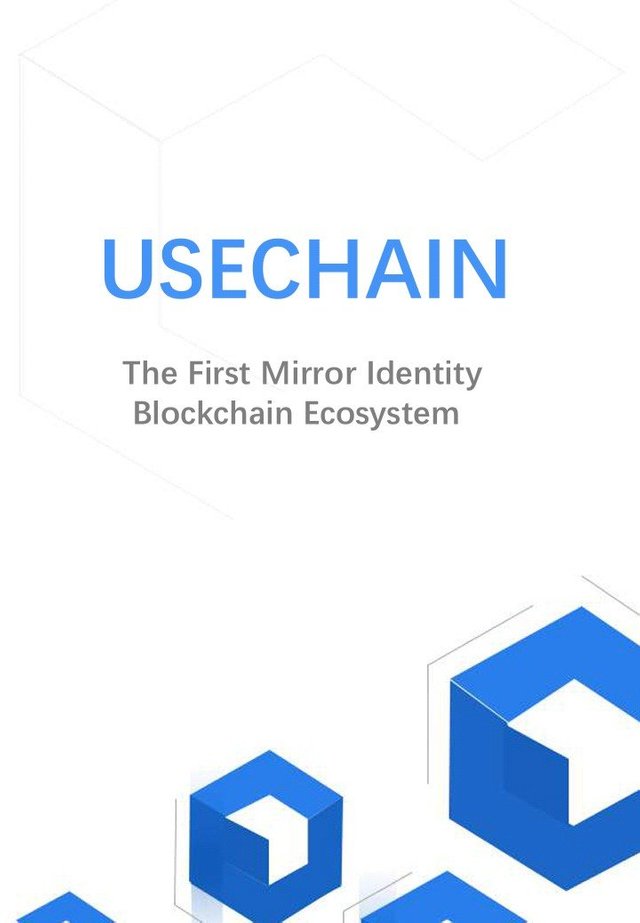 usechain mirror.jpg