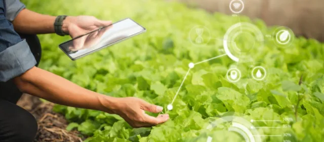 checking-plant-using-technologies.jpg.webp