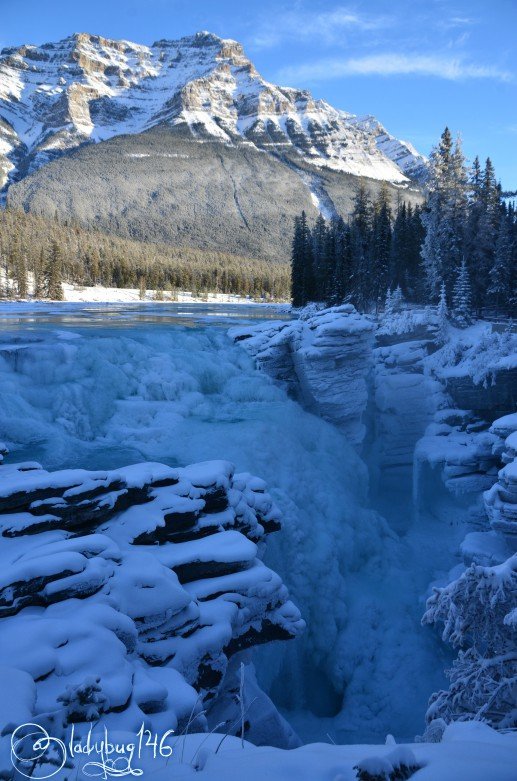 athabasca_falls15.jpg