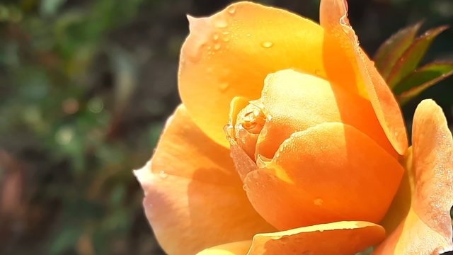 20210125_091950.jpg