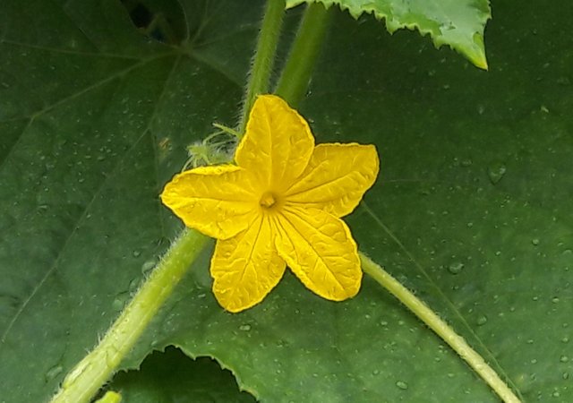 20180709_143616.jpg