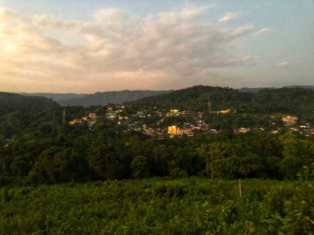 IMG_0486-01.jpeg