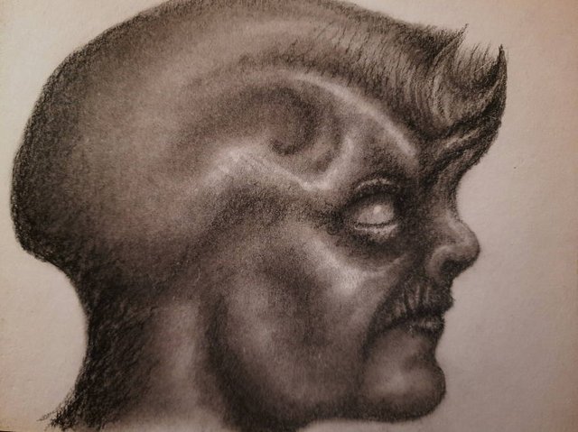 20250507_115448.jpg