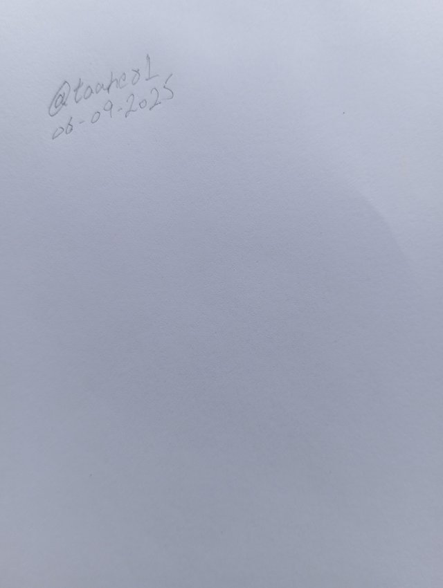 1000099334.jpg