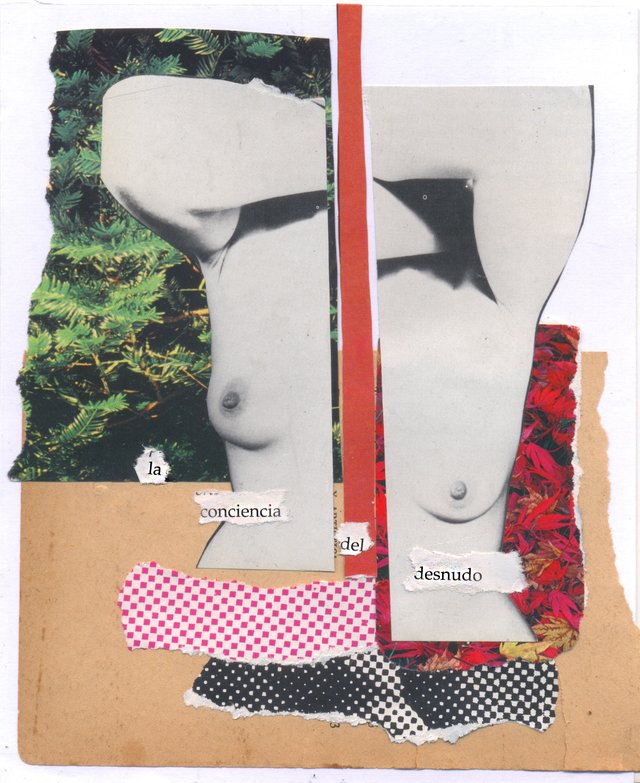 collage 002.jpg