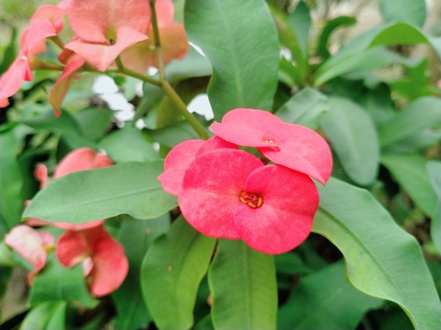IMG20250321143059.jpg