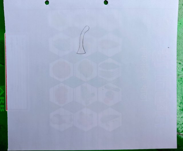 1000017861.jpg