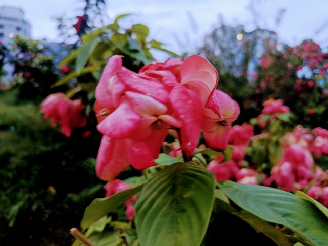 IMG_20250713_184321.jpg