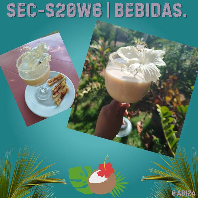 SEC-S20W6  Bebidas..png