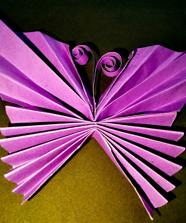 IMG20250711205518_1.jpg