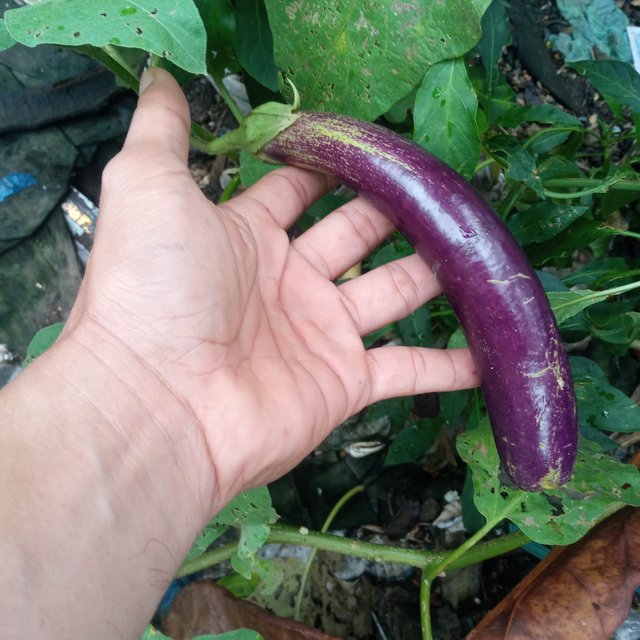 20250831_062857.jpg