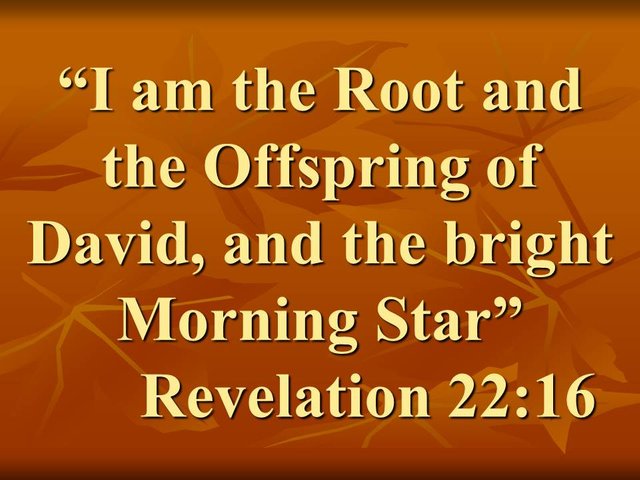 Jesus in the Book of Revelation. I am the Root and the Offspring of David, and the bright Morning Star. Revelation 22,16.jpg