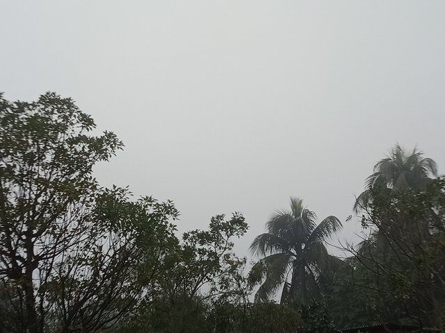 IMG20240114080054.jpg