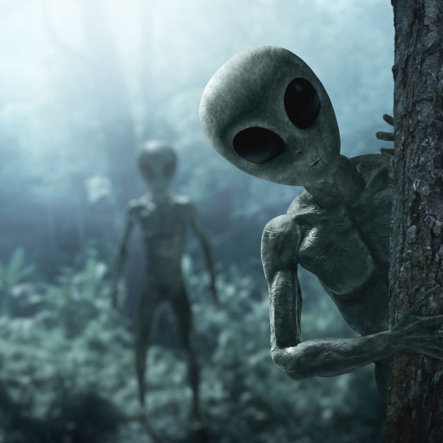 0_Aliens-creature-in-the-forest.jpg