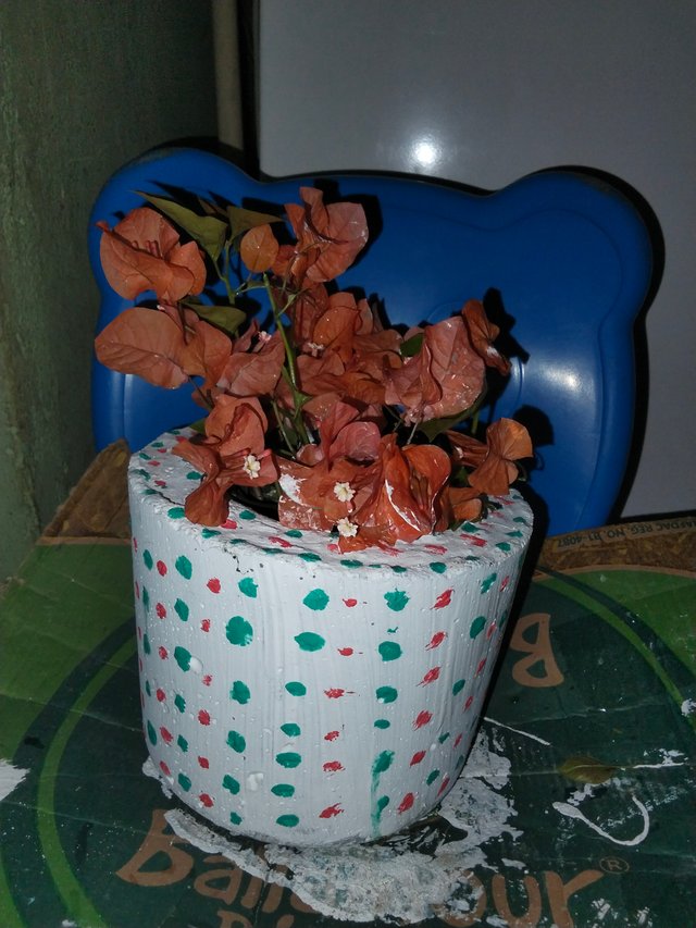 1000055040.jpg
