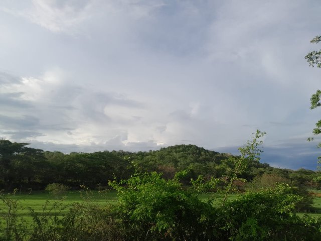 IMG-20251012-WA0032.jpg