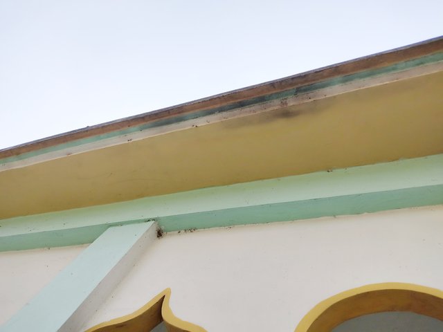 IMG_20250313_113908.jpg