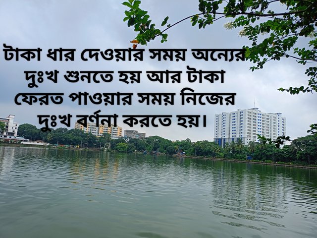 IMG_20250810_040233.jpg