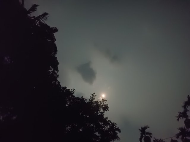 IMG_20250612_214132.jpg