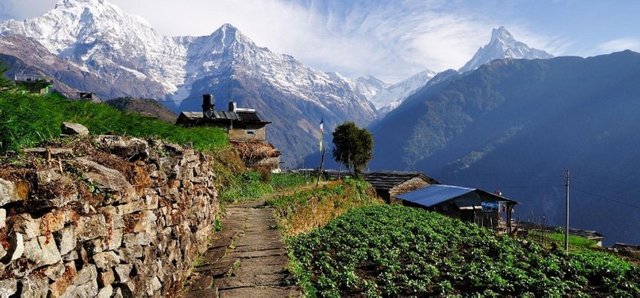 1185_Annapurna-Foothills.jpg