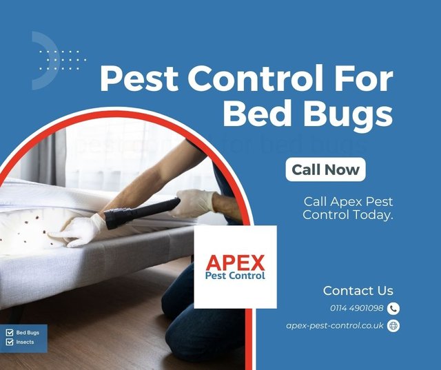 pest control for bed bugs.jpg