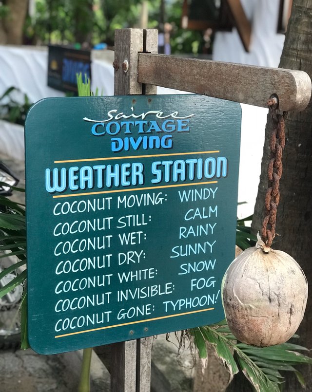 coconut.JPG