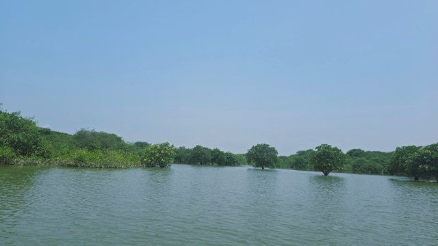 Notes_250723_005329_338.jpg
