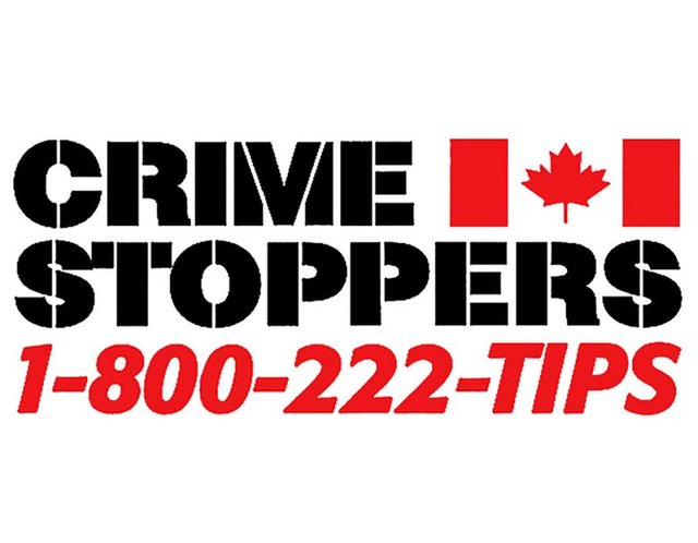 crime-stoppers-logo.jpeg