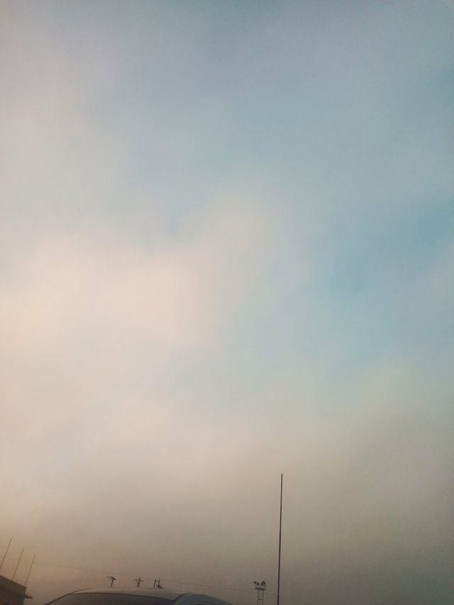 IMG_tdnoz.jpg