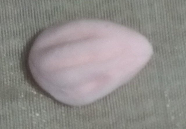 d10.jpg