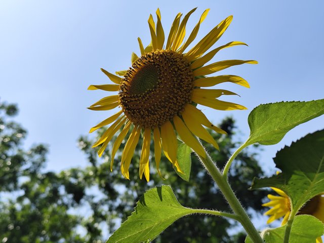 IMG_20250324_120809.jpg