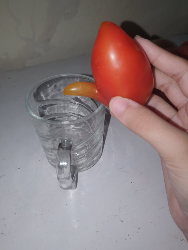20250412_170600.jpg