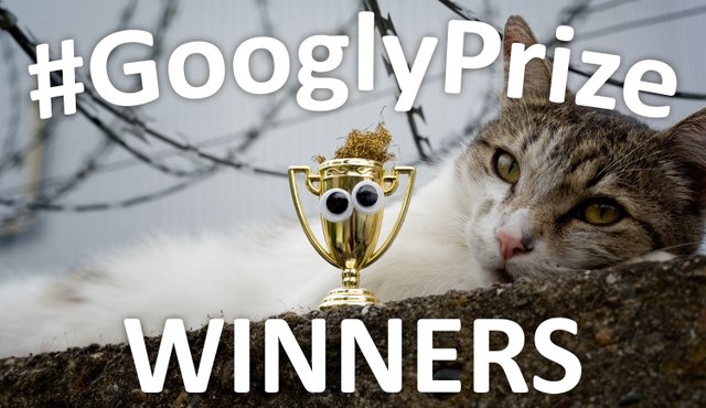 geyes__gprize_48_winners.jpg