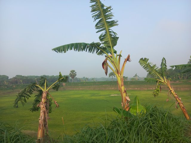 20250419_075005.jpg