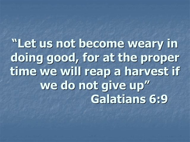 Bible study. Let us not become weary in doing good, for at the proper time we will reap a harvest.jpg