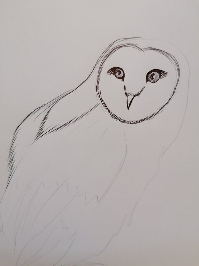 owl pen (4).jpg